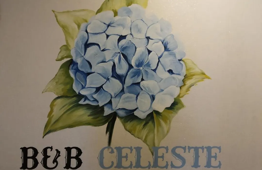 B&B Celeste-1
