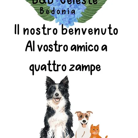 B&B Celeste-3